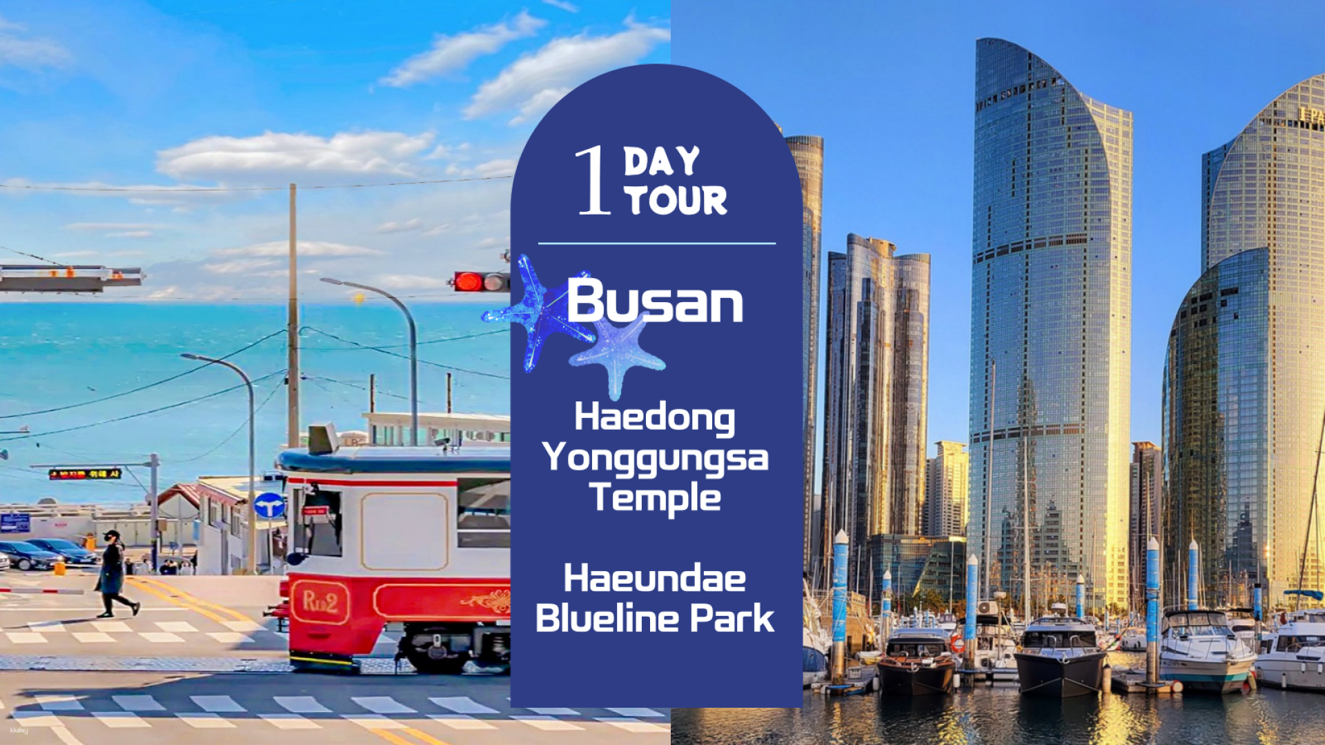 Experience the stunning coastal views at Haedong Yonggungsa Temple and enjoy a scenic beach train ride capturing the essence of Busan's natural beauty and cultural heritage.